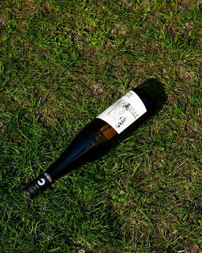 Femme Fatale Riesling 2022